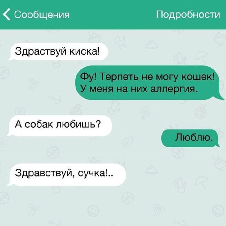 Короткие переписки, которые заставят вас улыбнуться Короткие переписки, которые заставят вас улыбнуться