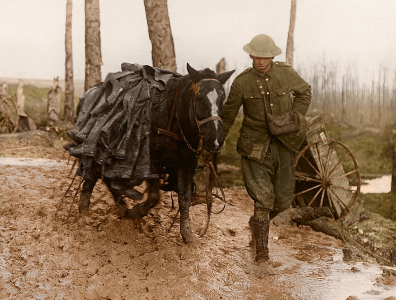 Транспортировка солдатских сапог на лошади архивное фото, колоризация, колоризация фотографий, колоризированные снимки, первая мировая, первая мировая война, фото войны