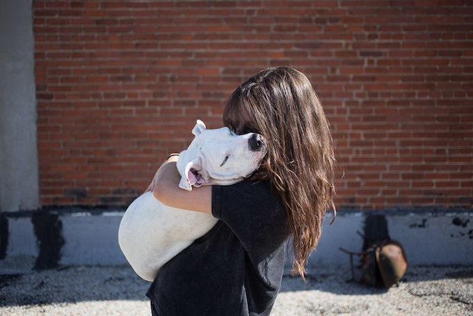 животные, отношения, люди, приют