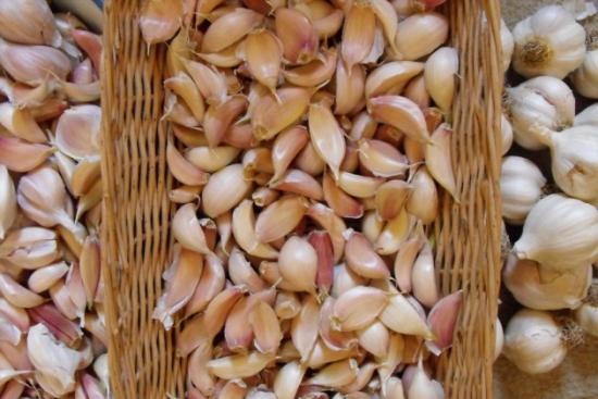 ������ ������ ��� ������? ��� �� ����������?