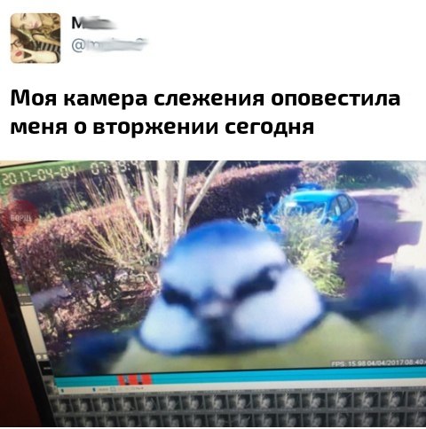 Забавные картинки с надписями на пятницу (11 фото) Забавные картинки с надписями на пятницу (11 фото)