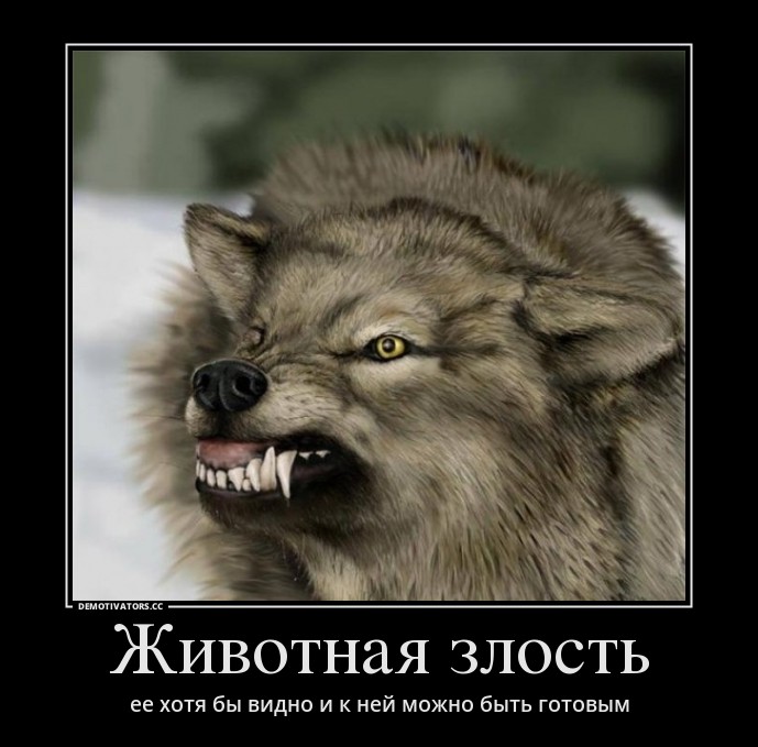 Мы стали злее? или загадки человеческой психики Мы стали злее? или загадки человеческой психики