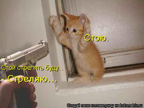 http://kotomatrix.ru/images/lolz/2009/02/19/Cnd.jpg