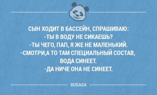 Забавные мысли и высказывания Забавные мысли и высказывания