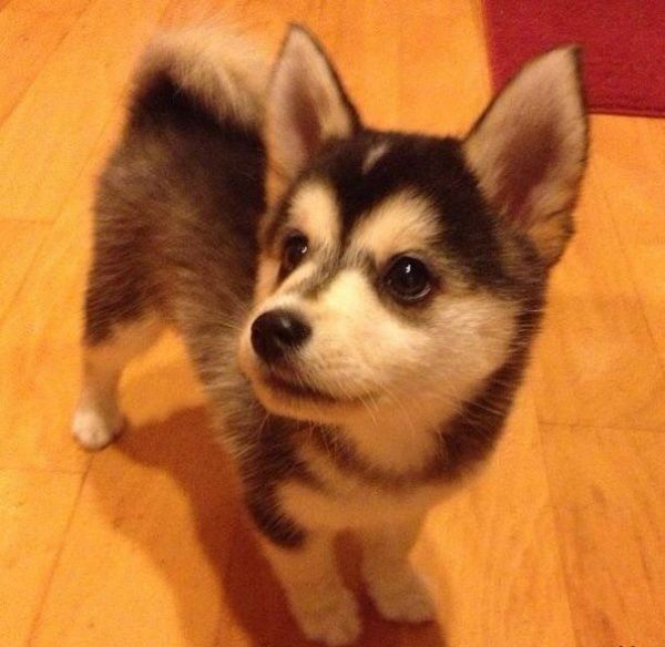 добро, позитив, в мире, дюди