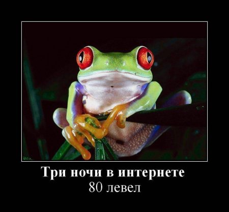 http://mtdata.ru/u17/photo9B6A/20708034119-0/huge.jpeg