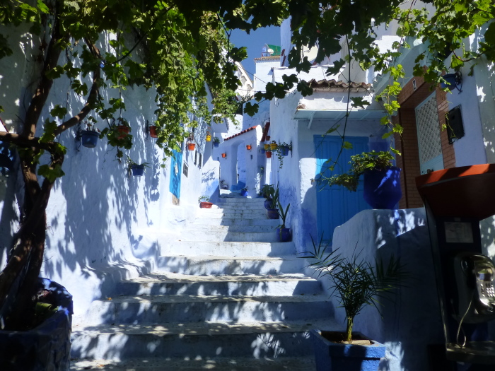 Яркие растения разбавляют синь улиц. / Фото: www.fez-chefchaouen-tours.com Яркие растения разбавляют синь улиц. / Фото: www.fez-chefchaouen-tours.com