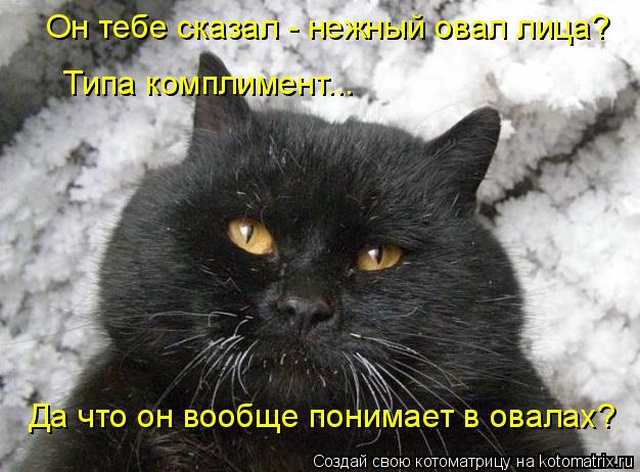 Лучшие котоматрицы недели Лучшие котоматрицы недели