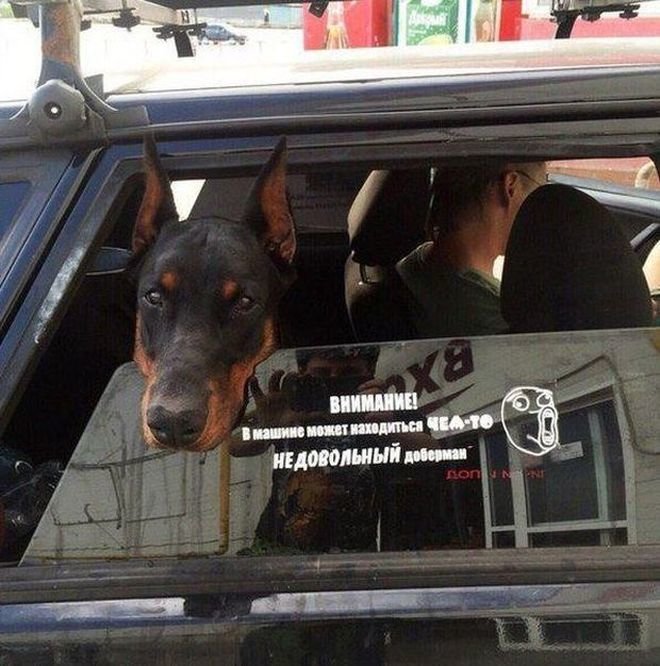 Подборка автомобильных приколов Подборка автомобильных приколов авто, автомобили, автоприкол, автоприколы, подборка, прикол, приколы, юмор