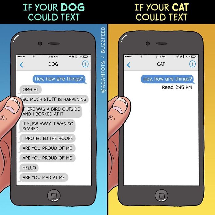 Funny Cats Vs. Dogs Comics