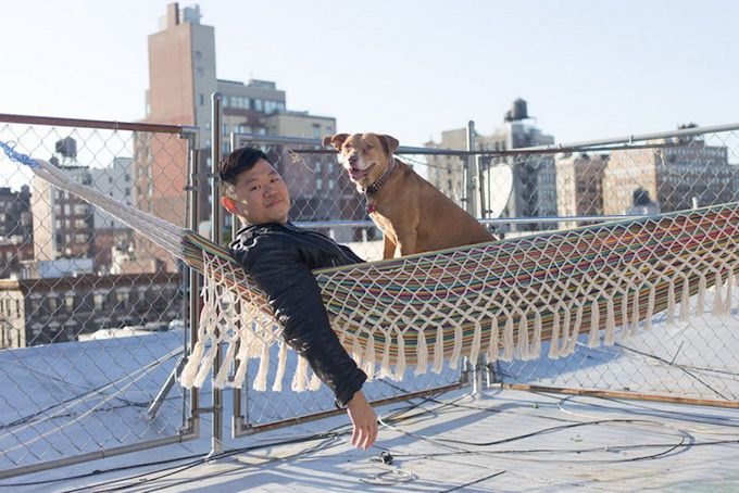 животные, отношения, люди, приют