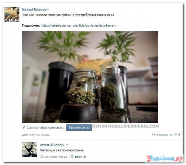 Убойная подборочка прикольных и сатирических комментариев из соц.сетей о злободневном Убойная подборочка прикольных и сатирических комментариев из соц.сетей о злободневном