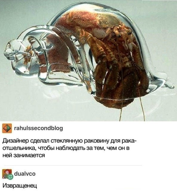 Соцсети жгут! Прикольные, местами жестковатые комментарии от народных юмористов Соцсети жгут! Прикольные, местами жестковатые комментарии от народных юмористов