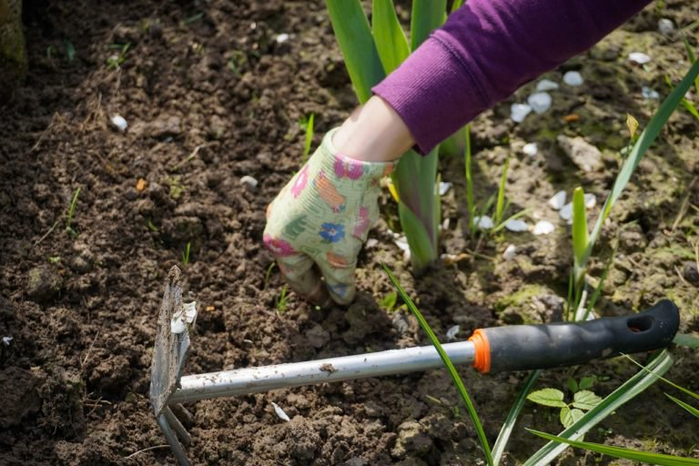 work-in-the-garden-2432111_1280-768x512 (700x466, 374Kb)