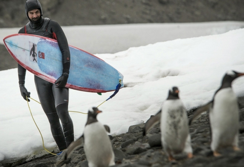 Рамон Наварро
Чилийский серфингист Рамон Наварро решил посерфить там, где еще не ступала нога серфера. Покорять волны Рамон отправился в Антарктиду. Суровые  климатические условия спортсмену с лихвой компенсировало отсутствие толпы серферов в воде независимо от времени суток. 