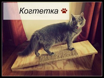 Когтетка для кота своими руками Когтетка для кота своими руками
