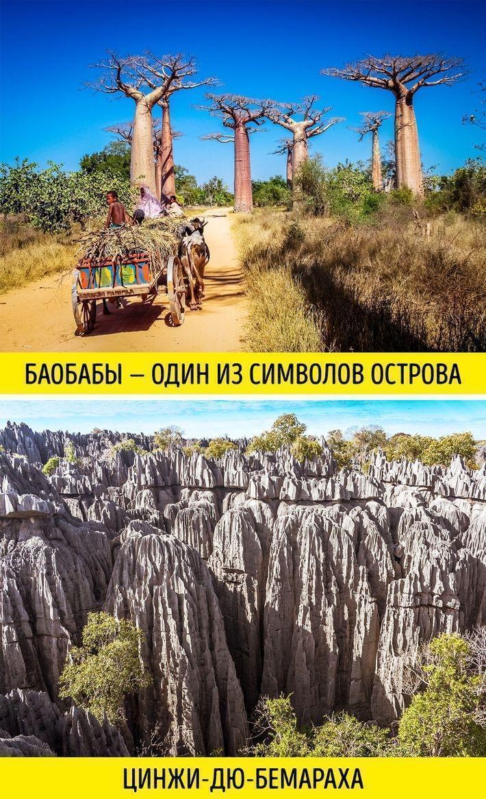 14 фактов в пользу того, что Мадагаскар — это отдельная вселенная 14 фактов в пользу того, что Мадагаскар — это отдельная вселенная