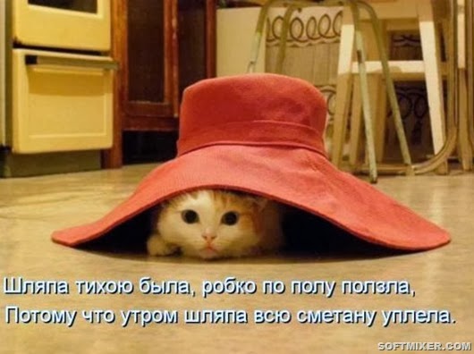 582e52a33dc732cd9c9bd1daf6f_prev