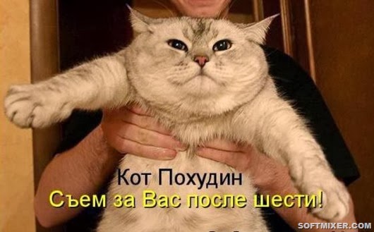 d7f3466159757f6148f30af954a_prev