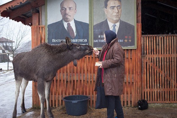 2204269 220 Russia is number one exporter of insanity! (25 Photos)