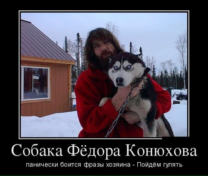 Новости американской империи
