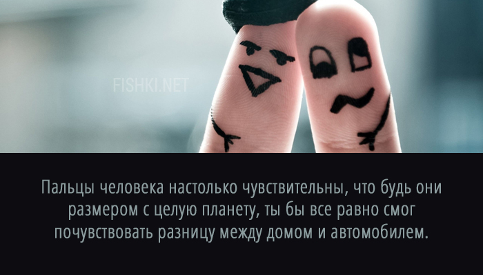 20 суперспособностей, которые есть у каждого 20 суперспособностей, которые есть у каждого анатомия, факты, человек
