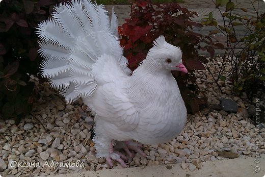 Голубь королевский из пластиковых бутылок мастер класс Голубь королевский из пластиковых бутылок мастер класс
