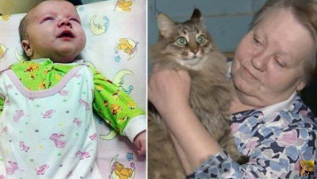 Его бросили в холодный подвал в разгар лютой зимы… Если бы не эта кошка, то он бы просто не выжил! Его бросили в холодный подвал в разгар лютой зимы… Если бы не эта кошка, то он бы просто не выжил!