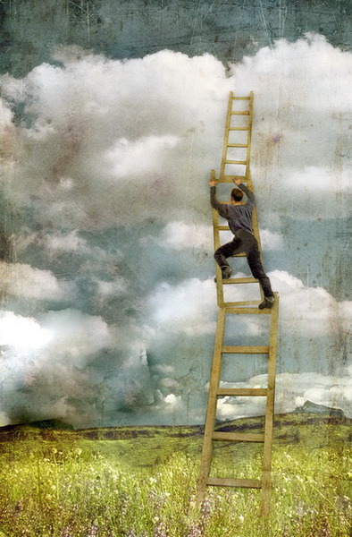 Притча недели. О Царе Соломоне и Вороне Притча недели. О Царе Соломоне и Вороне