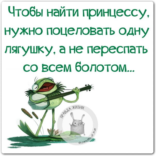 Чтобы найти принцессу, нужно поцеловать одну лягушку