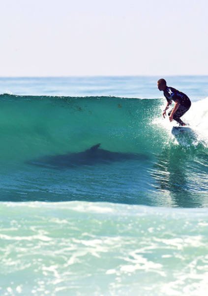 Неудачный день в картинках (17 фото) Неудачный день в картинках (17 фото)