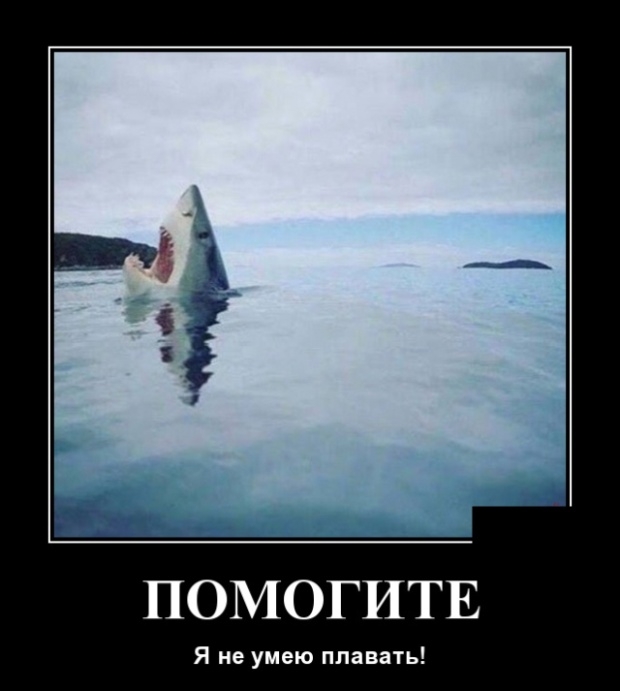 Демотиваторы Демотиваторы