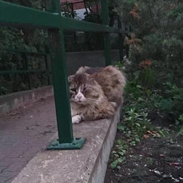 Взгляд, который разбил сердце девушке Взгляд, который разбил сердце девушке