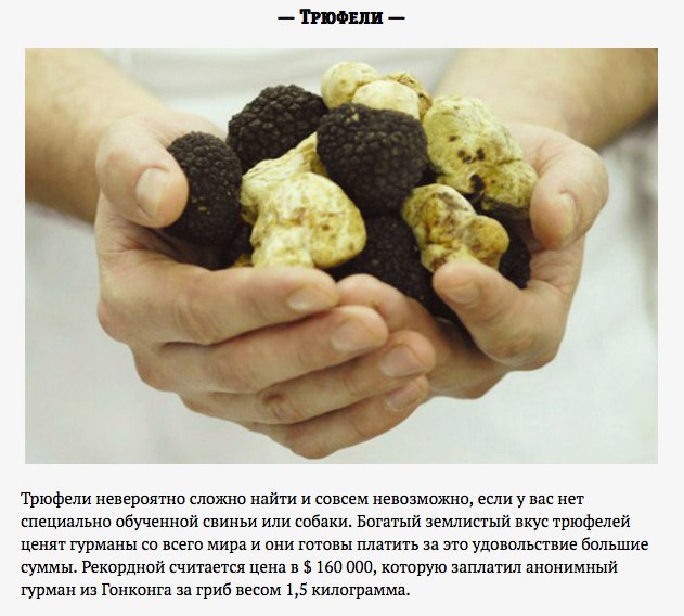 Самая дорогая еда на планете Еда, Гурман, Дорогие продукты, Удивительный мир вокруг нас, Длиннопост