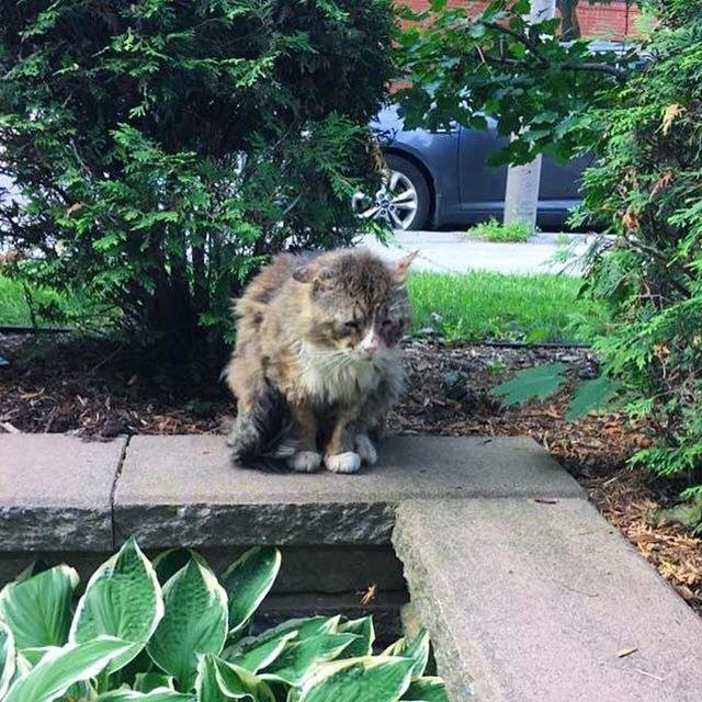 Взгляд, который разбил сердце девушке Взгляд, который разбил сердце девушке