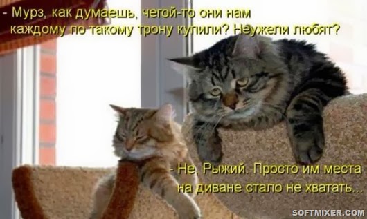 36f1cc2586fa9789127c164b6ca_prev