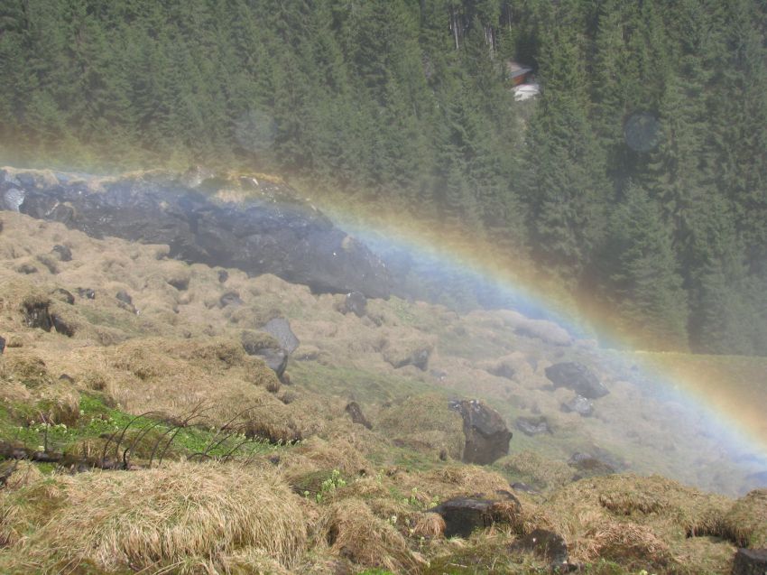 истории, интересное, путешествия