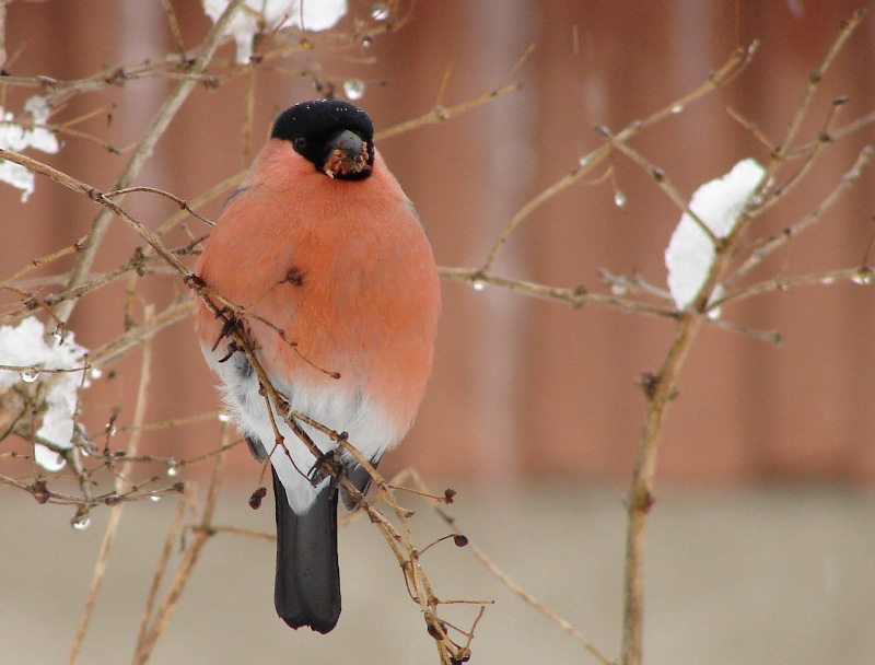 �� ������� �������...