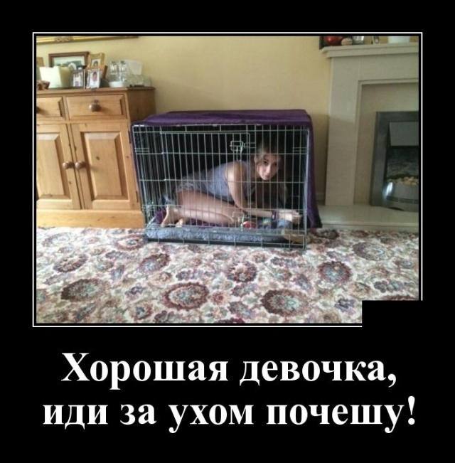 Демотиваторы Демотиваторы
