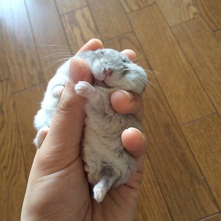 16 лечебных фото, которые вмиг избавят от плохого настроения! 16 лечебных фото, которые вмиг избавят от плохого настроения!