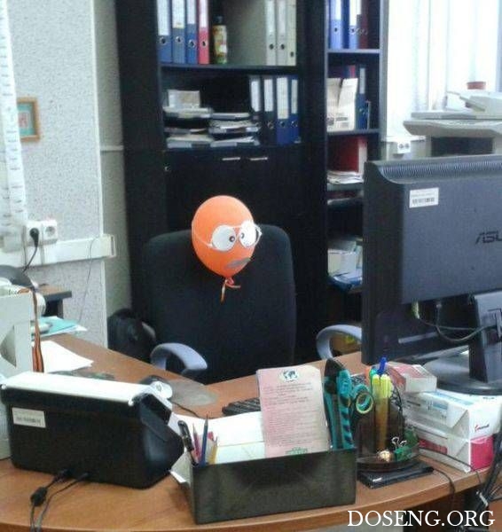 Прикольные картинки Прикольные картинки
