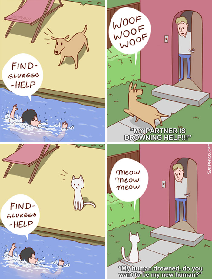 Funny Cats Vs. Dogs Comics