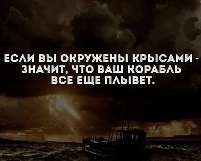 Прикольные картинки с надписью для настроения (11 фото) Прикольные картинки с надписью для настроения (11 фото)