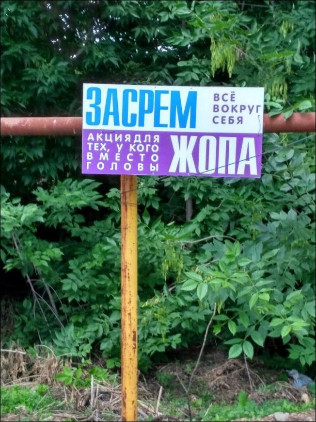 Новые народные перлы