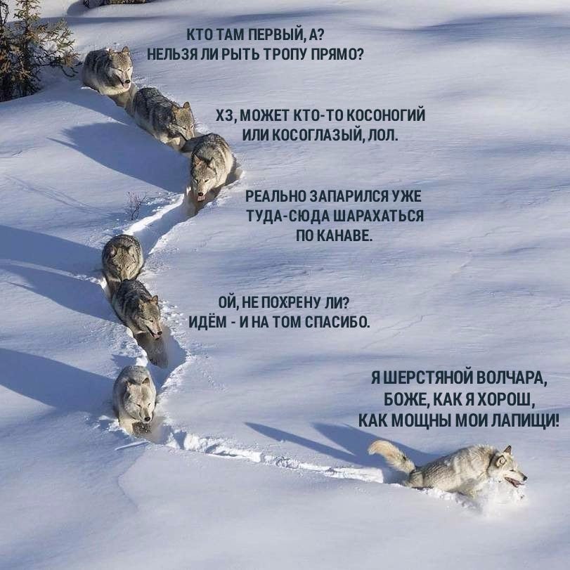 У одинокого оптимиста кровать наполовину полная) У одинокого оптимиста кровать наполовину полная)