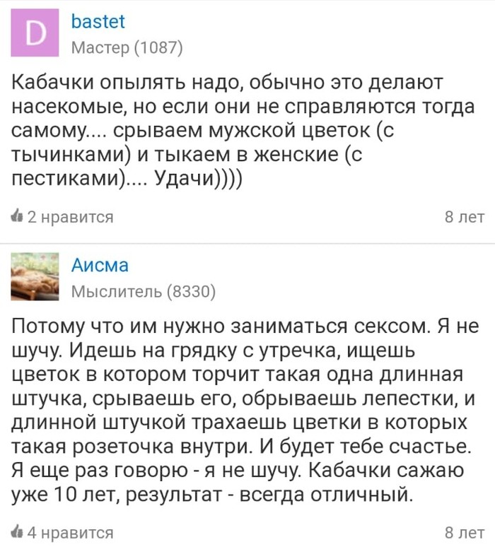Я не шучу, я ох....л Огород, Кабачок, Пестики и тычинки, Непонятно