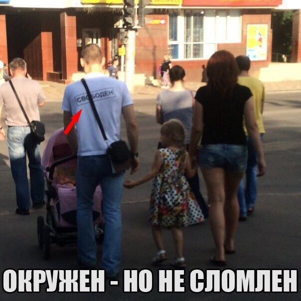 Cмешные картинки с надписями (20 картинок)