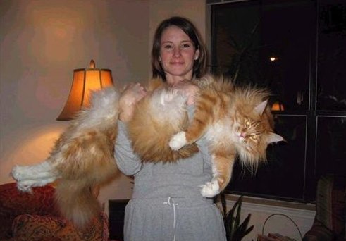 ��� �������� ����? ������� � ������� ������ 