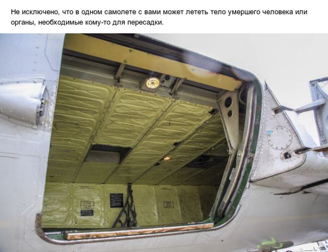 Познавательные факты о полетах на самолетах Познавательные факты о полетах на самолетах