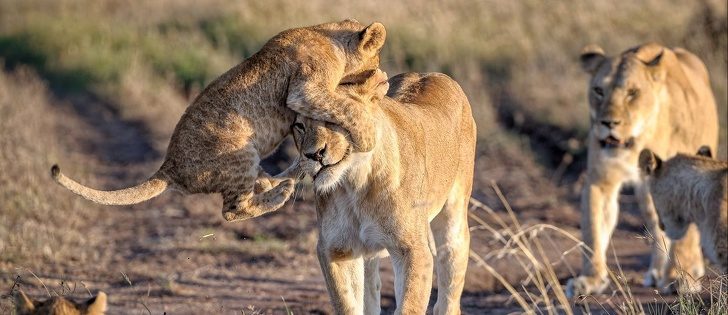 Мама — это источник теплоты и безграничной любви Мама — это источник теплоты и безграничной любви